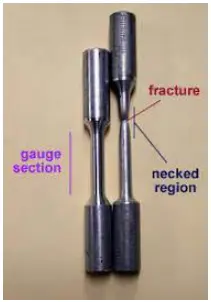 Material Calibration 4